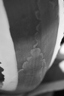 Monochrome photo of a detailed STL file print featuring abstract shapes on a clean surface