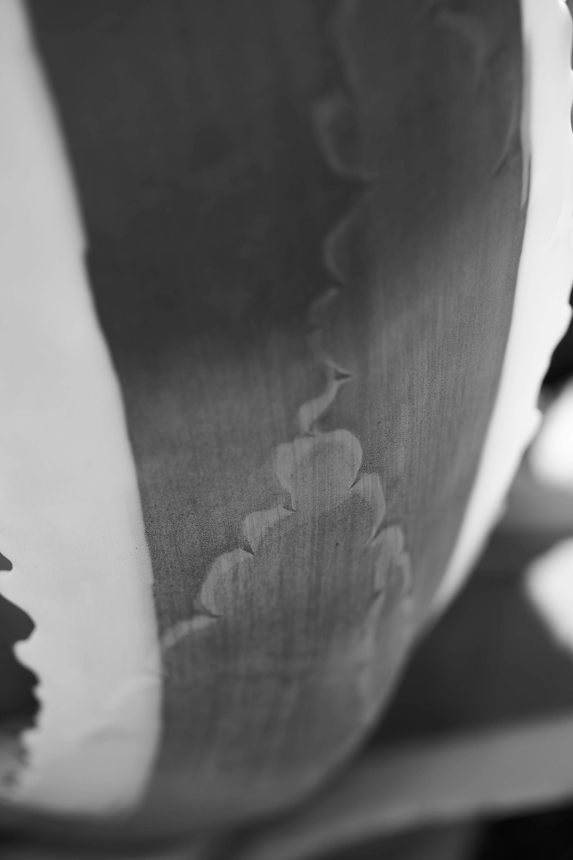 An artistic close-up of a monochrome print with intricate patterns and shadows.