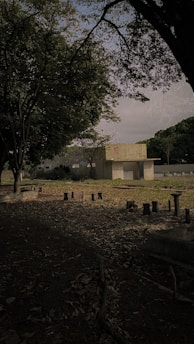 A side-by-side photo showing a neglected public park before and a revitalized clean park after community intervention.