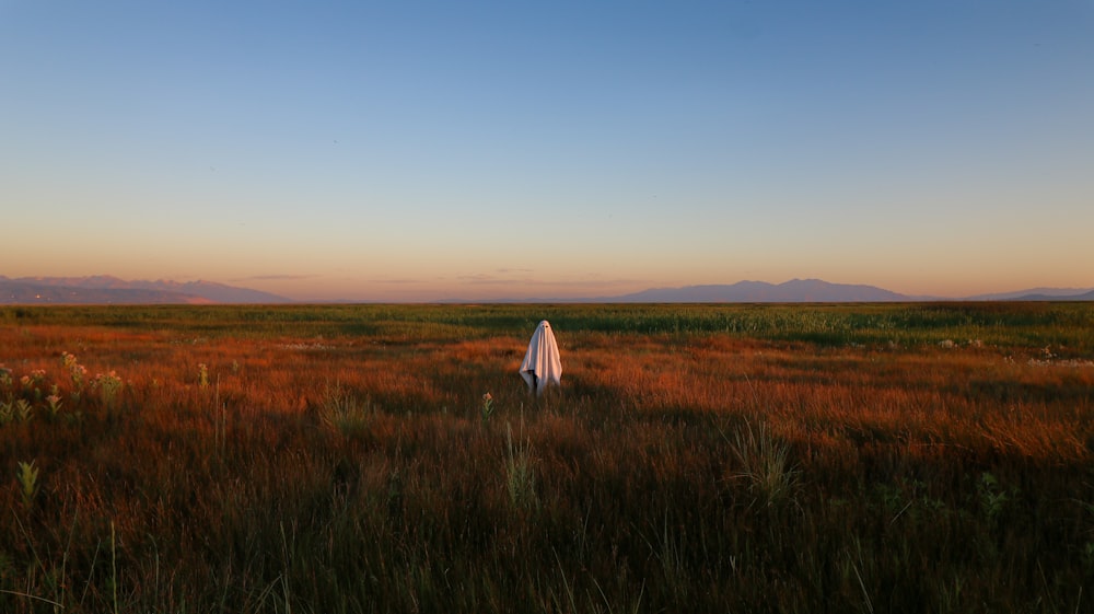 a surfboard sitting in the middle of a field