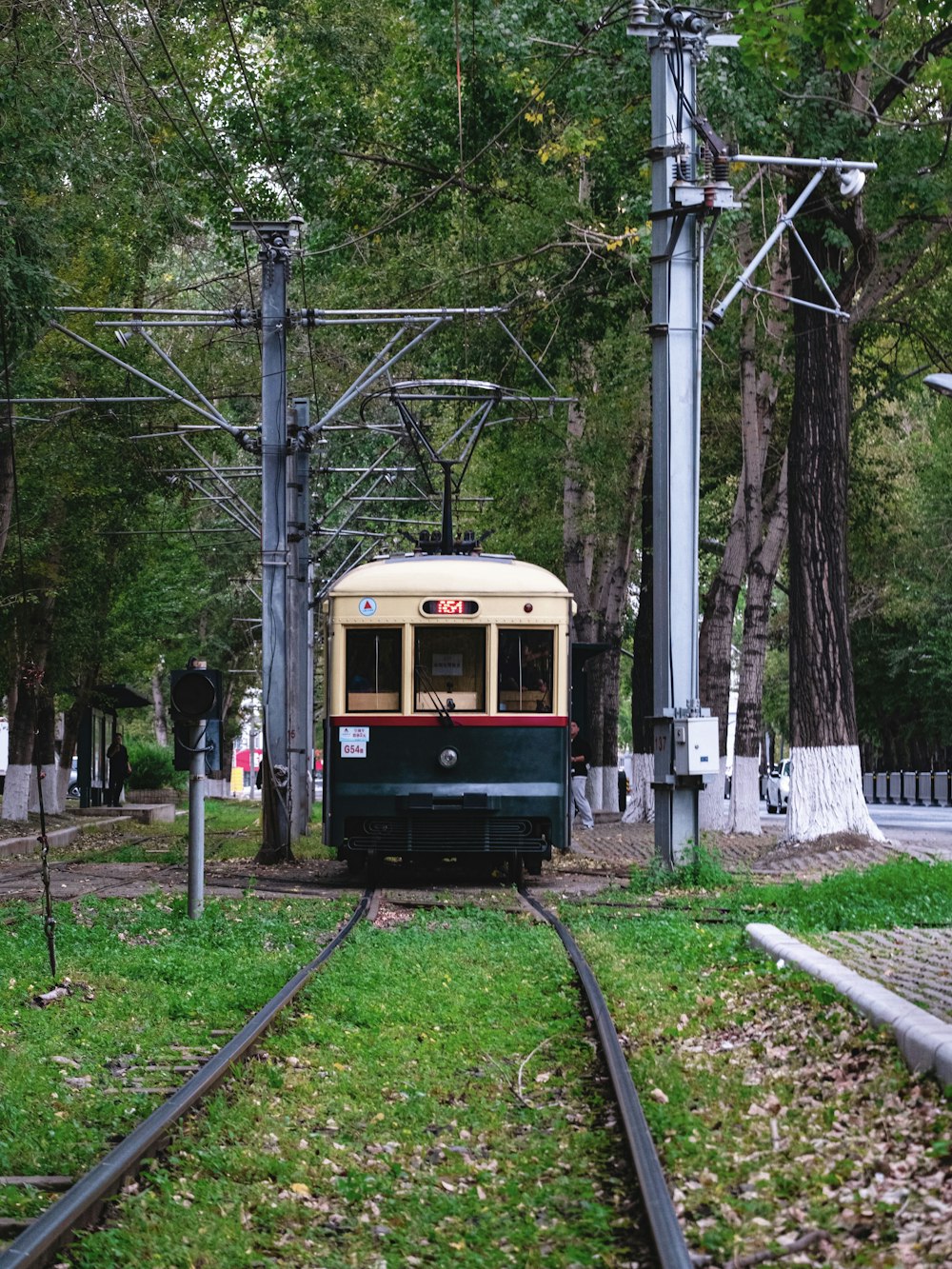 a train traveling down train tracks next to a forest