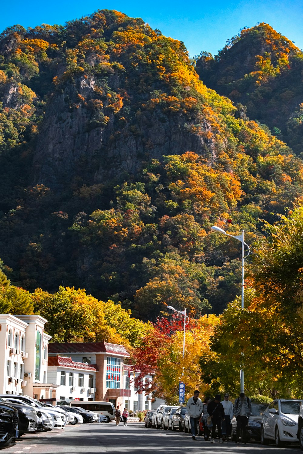 山を背景にした街の通り