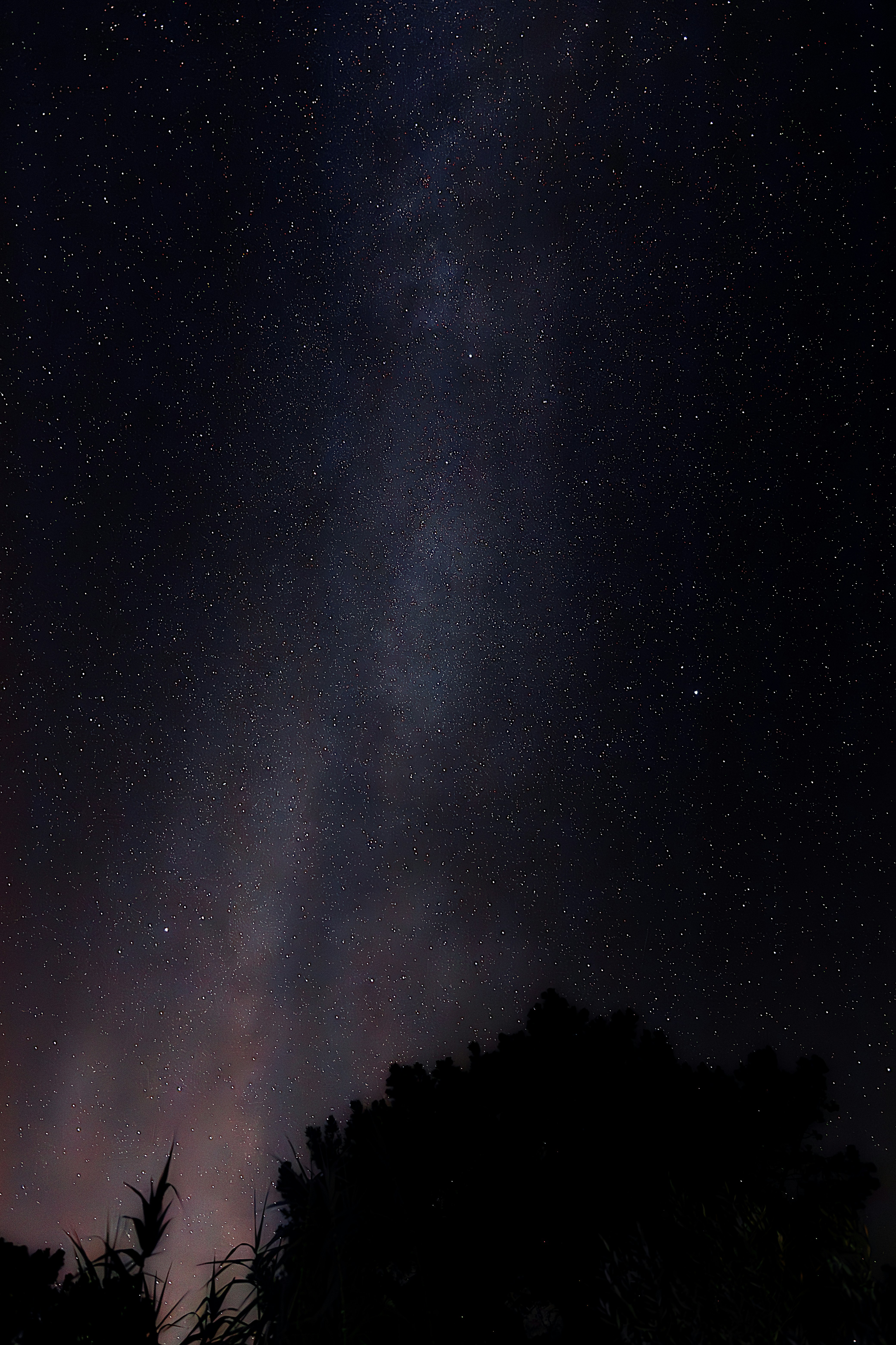 Photo by arizonanthony