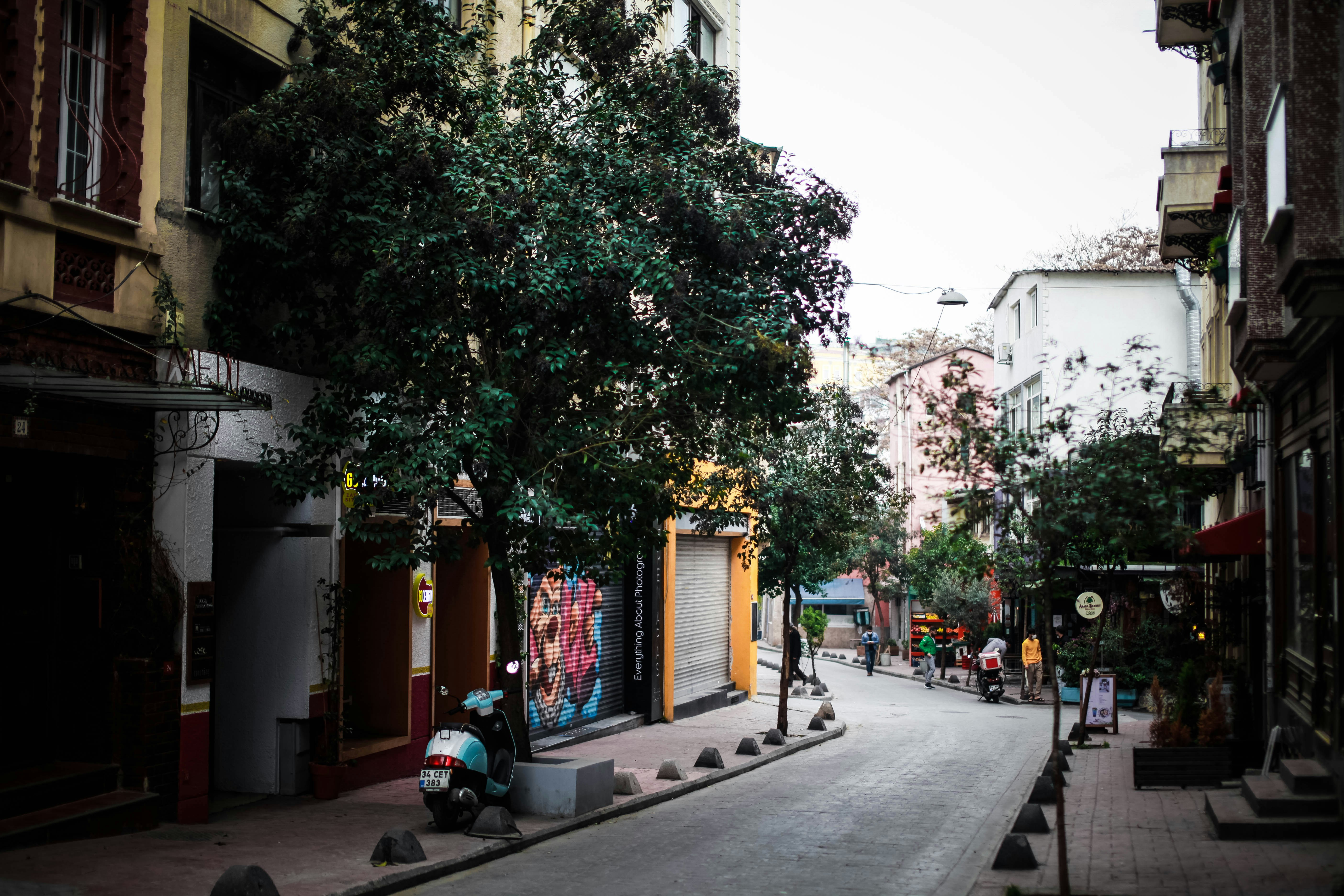 Photo by helgapettersen