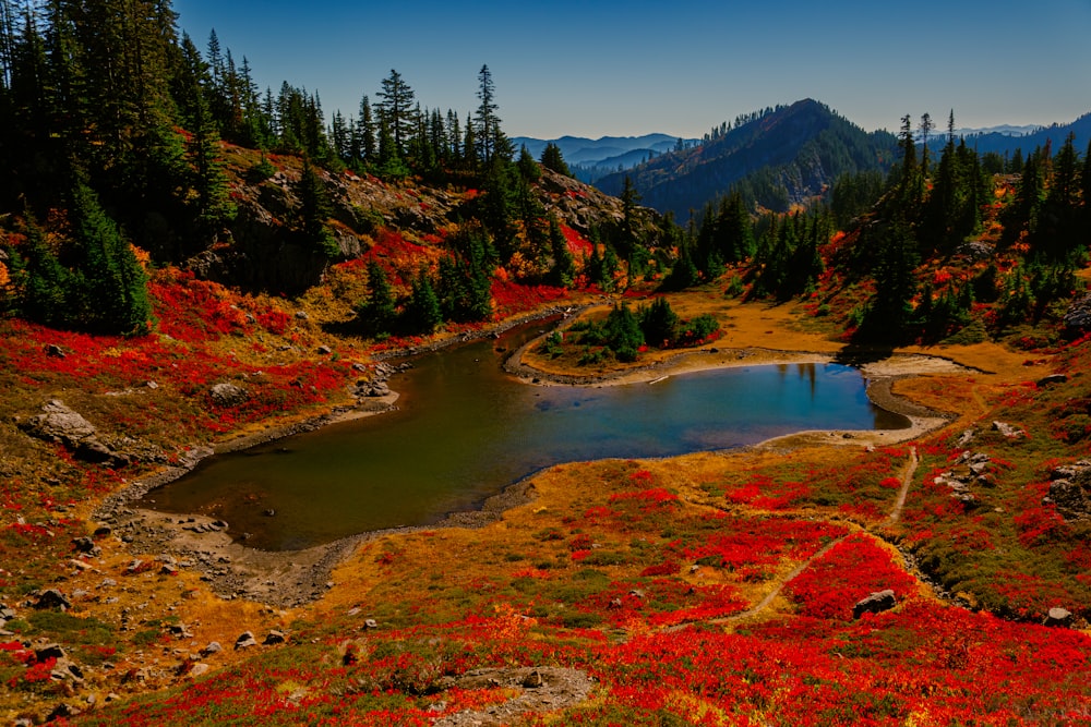 a lake surrounded by trees and red flowers