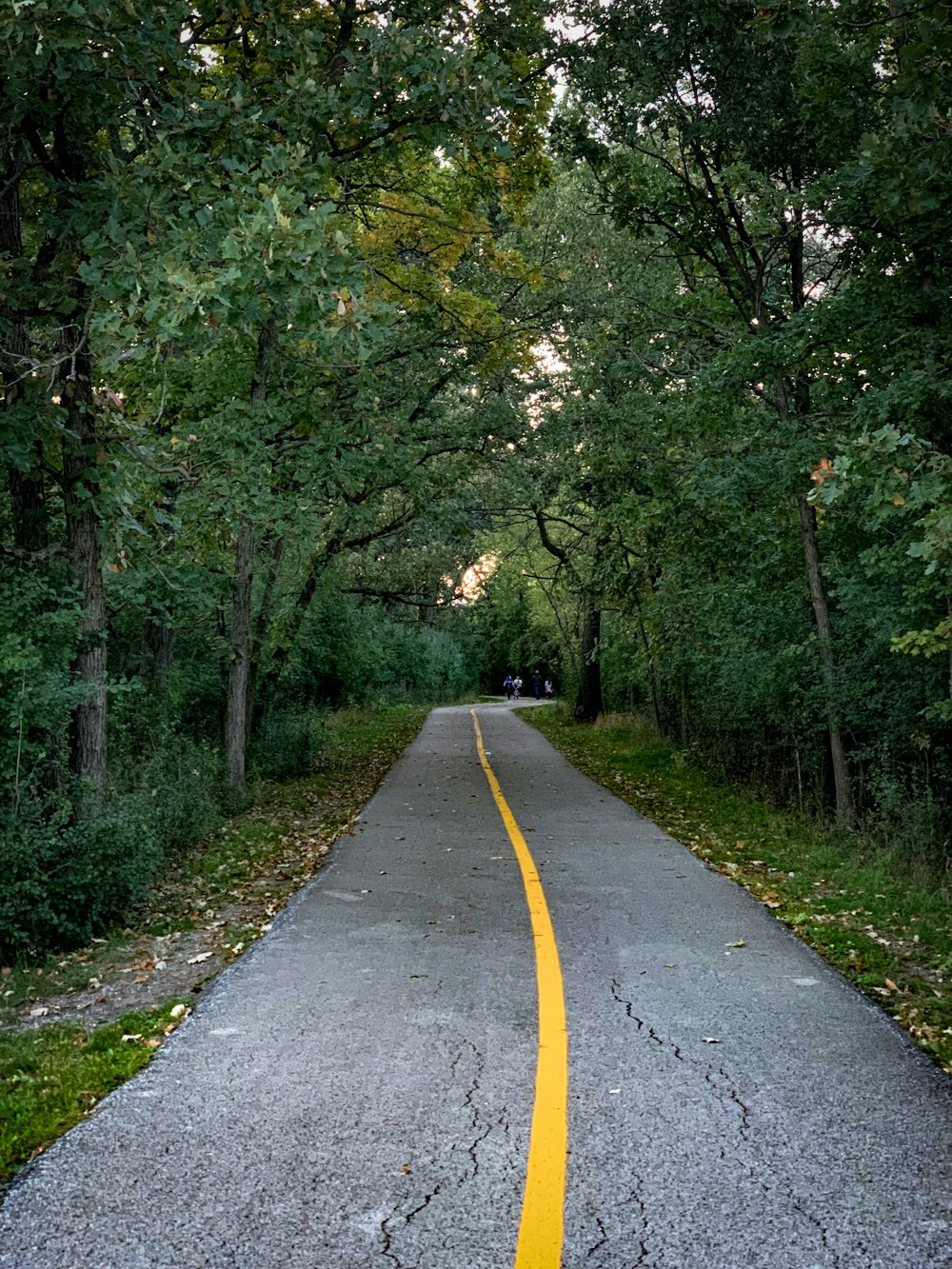 uma linha amarela em uma estrada pavimentada cercada por árvores