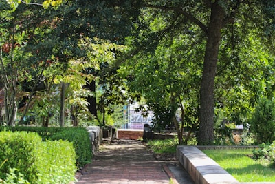 A peaceful pathway winding through a lush garden.