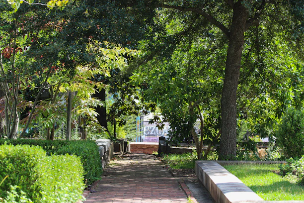 A peaceful garden pathway bordered by lush greenery and trimmed hedges under soft natural light.