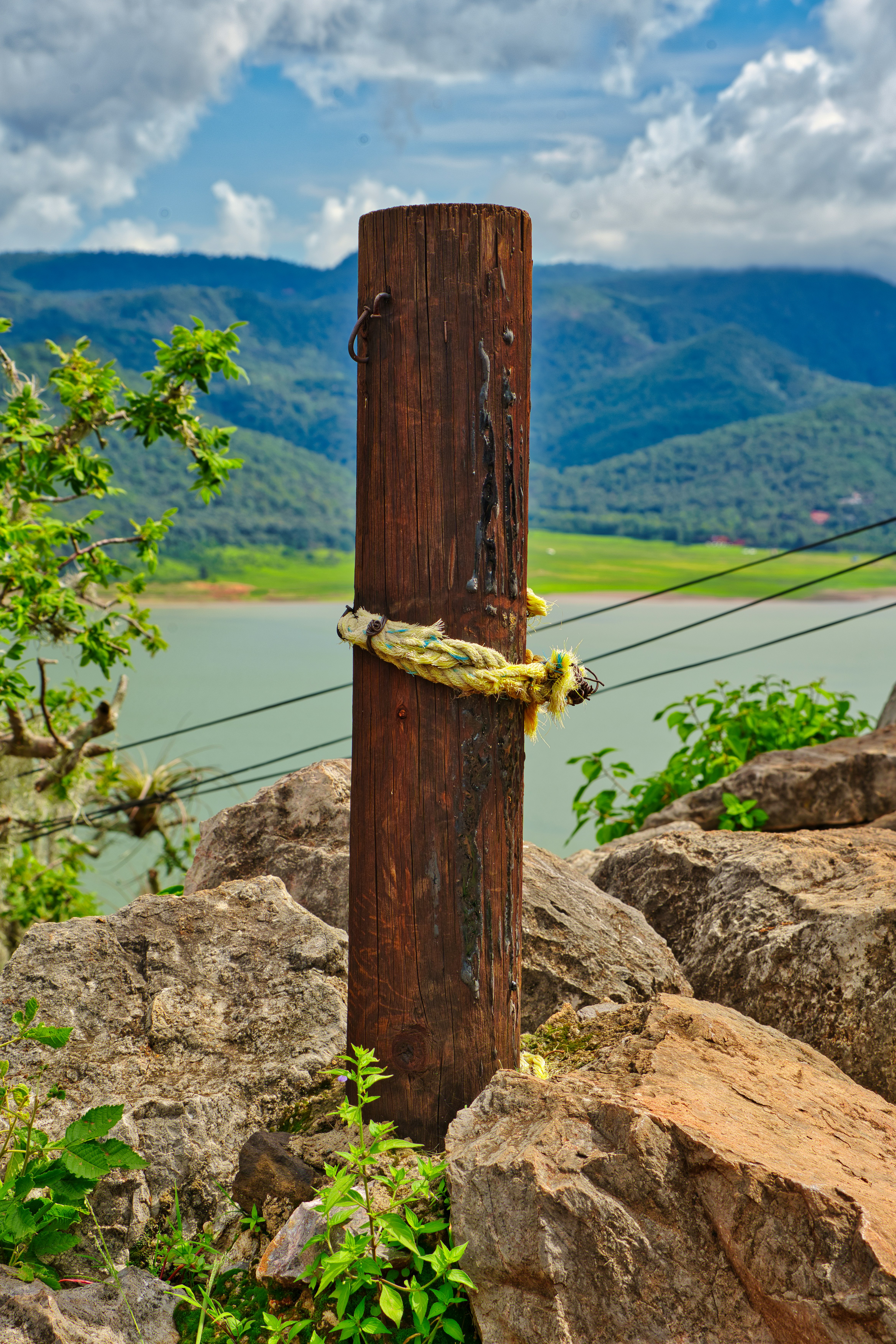 a wooden post with a rope wrapped around it