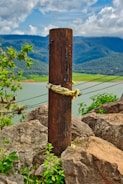 Close-up of a wooden pole wall standing firm against a hillside.