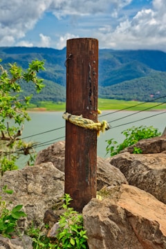 Close-up of a wooden pole wall standing firm against a hillside.