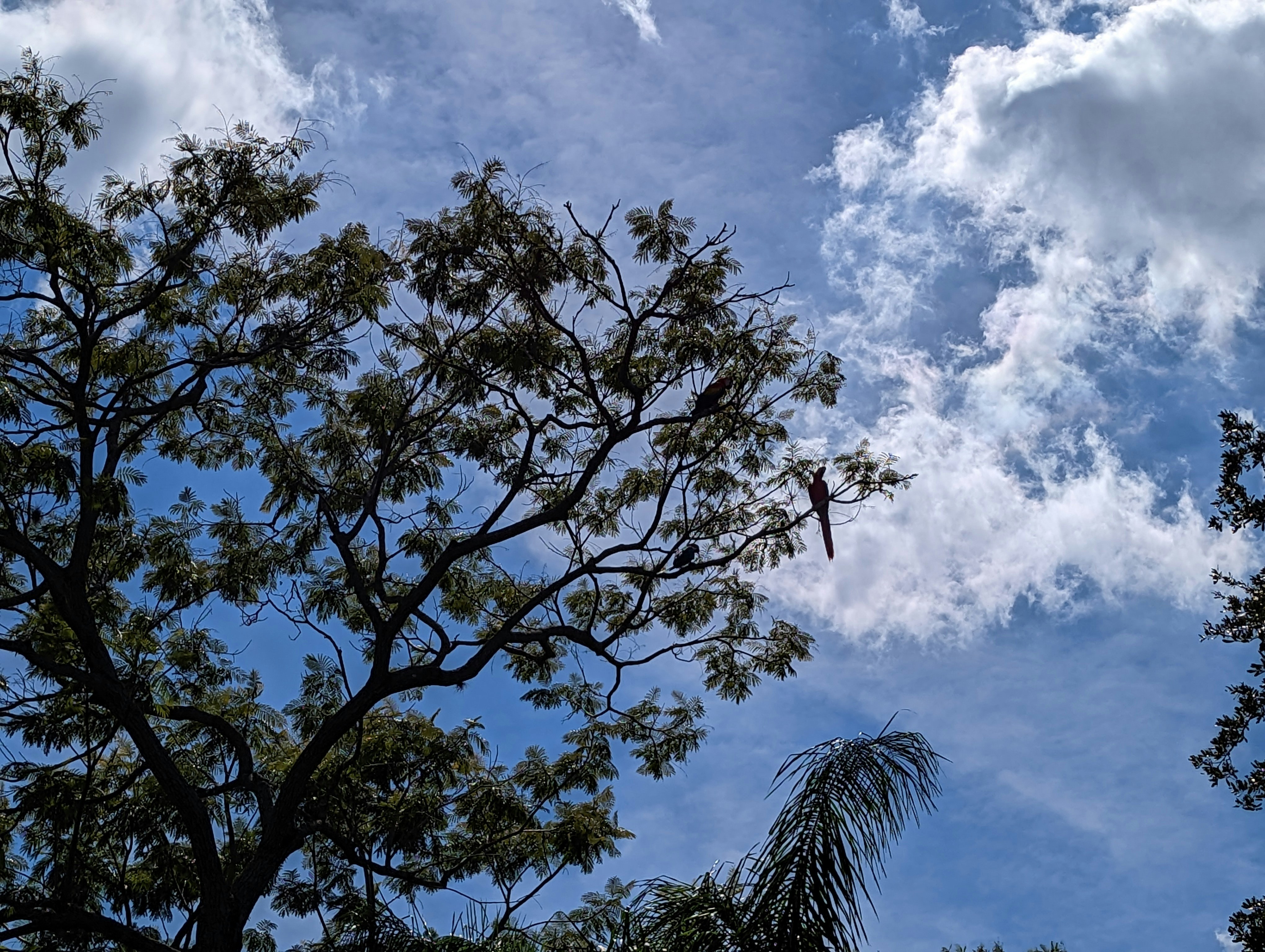 Photo by boigrrlwonder