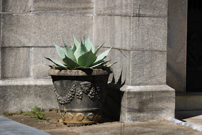 Close-up of a vivid 3D printed planter with intricate geometric patterns on a sunny windowsill.