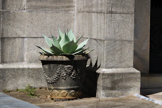 Close-up of a vivid 3D printed planter with intricate geometric patterns on a sunny windowsill.