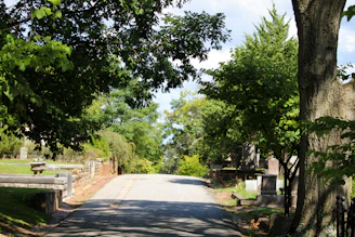 A peaceful cemetery pathway lined with cared-for graves under soft sunlight.
