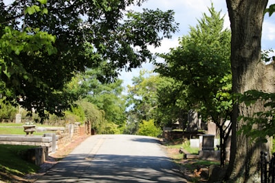 Visitors calmly walking along shaded, tidy pathways among the graves.