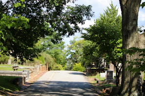 A peaceful pathway winding through the rejuvenated cemetery woodland.