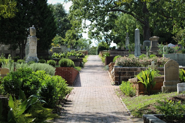 A peaceful cemetery with a paved walkway lined by lush greenery and various tombstones and statues. Tall trees provide ample shade, and the area is well-maintained with blooming flowers and manicured hedges.
