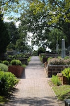 A serene cemetery scene with a brick pathway leading through well-maintained gardens. Large trees with abundant green foliage provide shade, while tombstones and graves are orderly arranged on either side. The sky peeks through the branches, casting soft light onto the path.