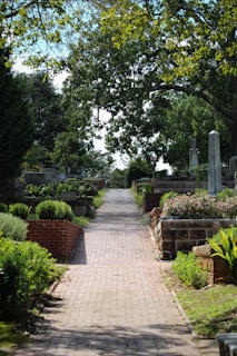 A serene cemetery scene with a brick pathway leading through well-maintained gardens. Large trees with abundant green foliage provide shade, while tombstones and graves are orderly arranged on either side. The sky peeks through the branches, casting soft light onto the path.