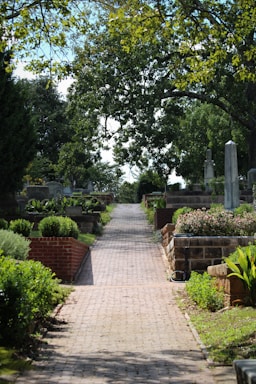 A serene cemetery scene with a brick pathway leading through well-maintained gardens. Large trees with abundant green foliage provide shade, while tombstones and graves are orderly arranged on either side. The sky peeks through the branches, casting soft light onto the path.