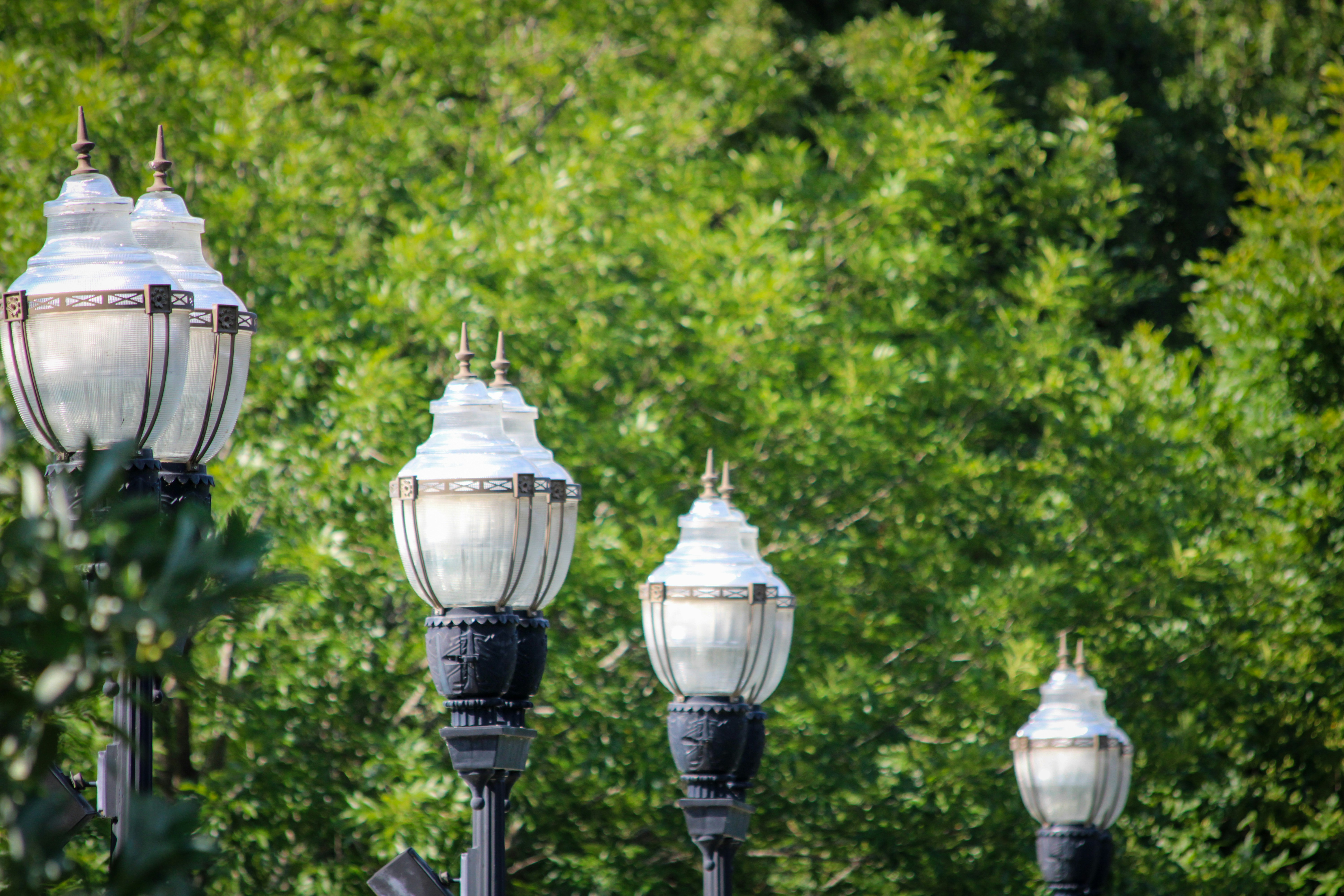 A group of street lights sitting next to each other photo – Free Lamp ...