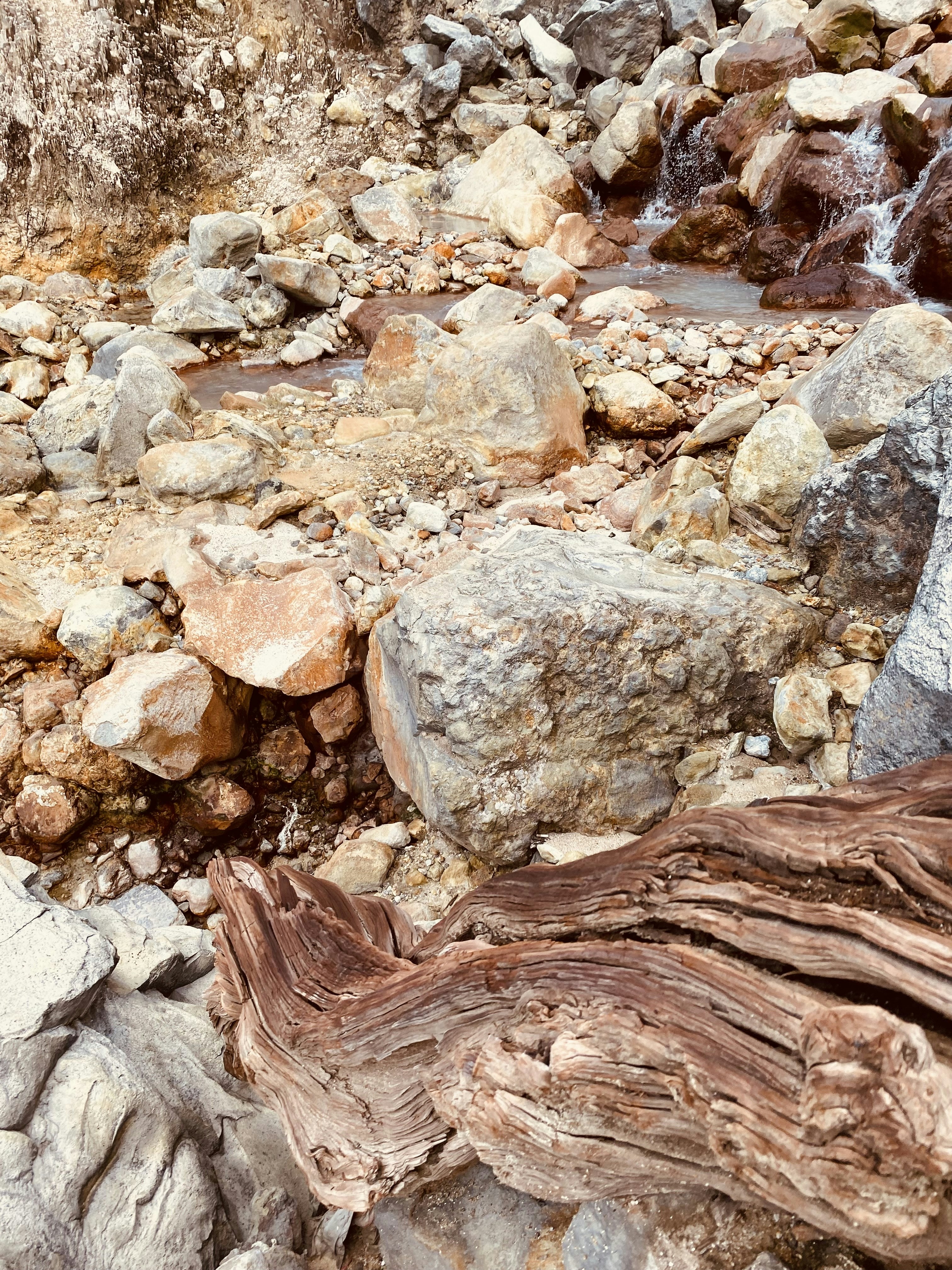 seekor beruang coklat berdiri di atas tumpukan batu