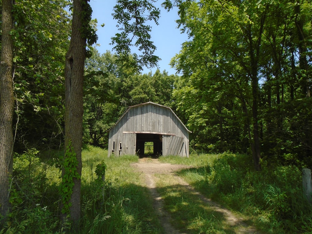 a barn in the middle of a forest