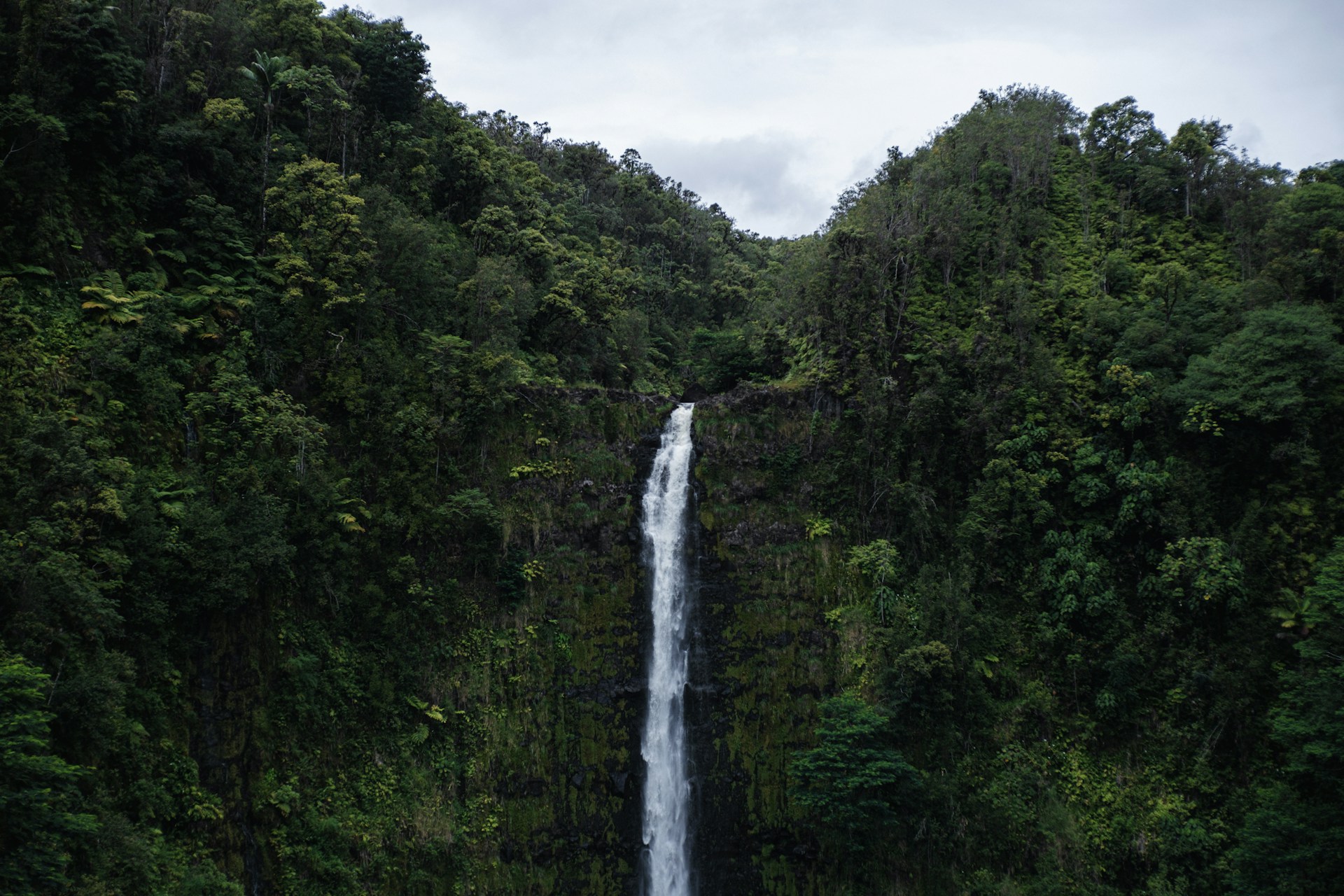 A vibrant shot of the lush Bouma Waterfalls cascading through dense tropical greenery on Taveuni Island.