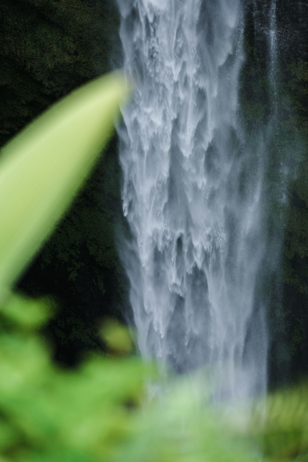 a close up of a waterfall with a green plant in the foreground