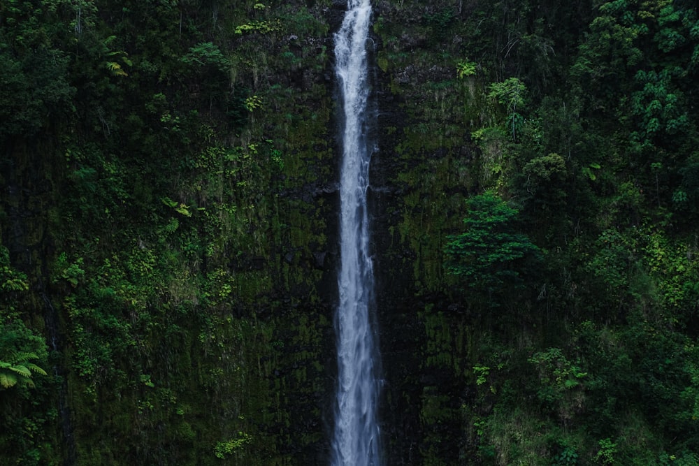 a large waterfall in the middle of a forest