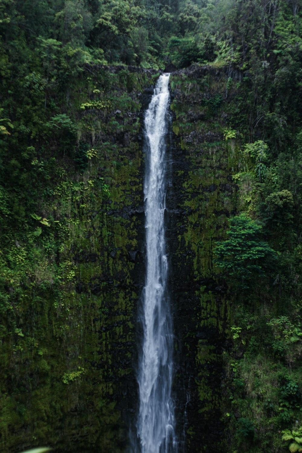 a large waterfall in the middle of a forest