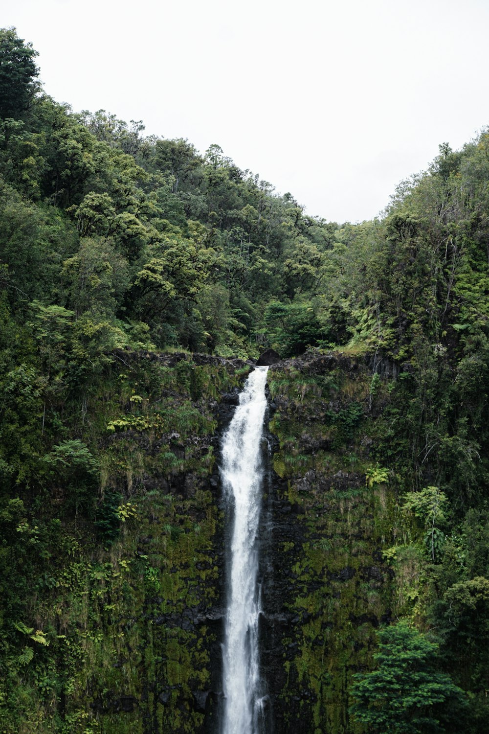 a large waterfall in the middle of a forest