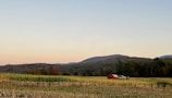 A serene rural landscape featuring a field with green crops in the foreground, bordered by dense forest leading to distant rolling hills under a clear sky. A solitary red barn and a piece of farm machinery are visible amid the natural setting, hinting at agricultural activity.