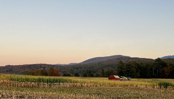 A serene rural landscape featuring a field with green crops in the foreground, bordered by dense forest leading to distant rolling hills under a clear sky. A solitary red barn and a piece of farm machinery are visible amid the natural setting, hinting at agricultural activity.