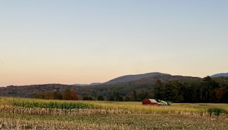 A serene rural landscape featuring a field with green crops in the foreground, bordered by dense forest leading to distant rolling hills under a clear sky. A solitary red barn and a piece of farm machinery are visible amid the natural setting, hinting at agricultural activity.