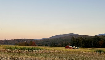 A serene rural landscape featuring a field with green crops in the foreground, bordered by dense forest leading to distant rolling hills under a clear sky. A solitary red barn and a piece of farm machinery are visible amid the natural setting, hinting at agricultural activity.