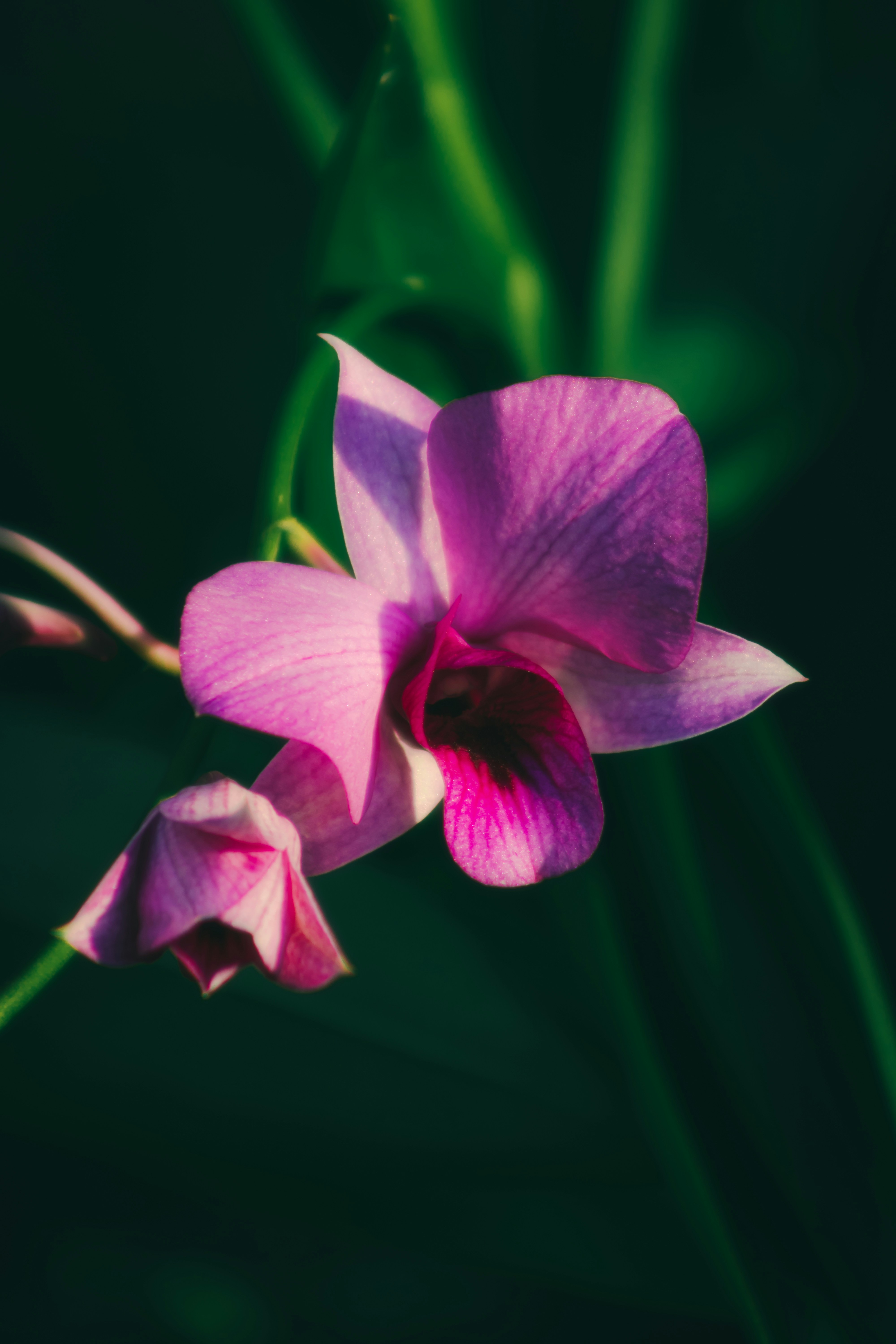 Photo by kevinxd_468