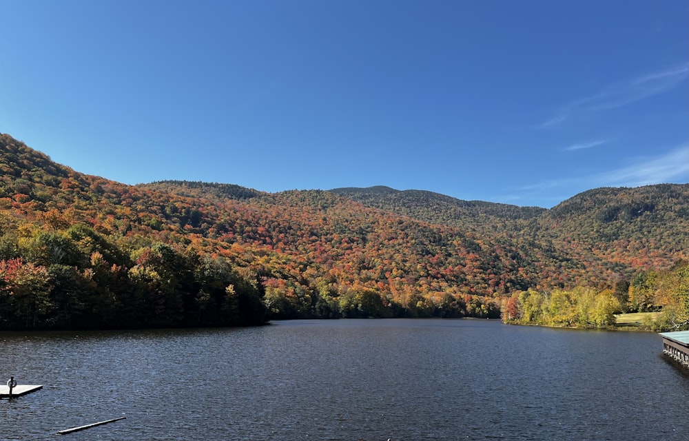 a body of water surrounded by mountains and trees