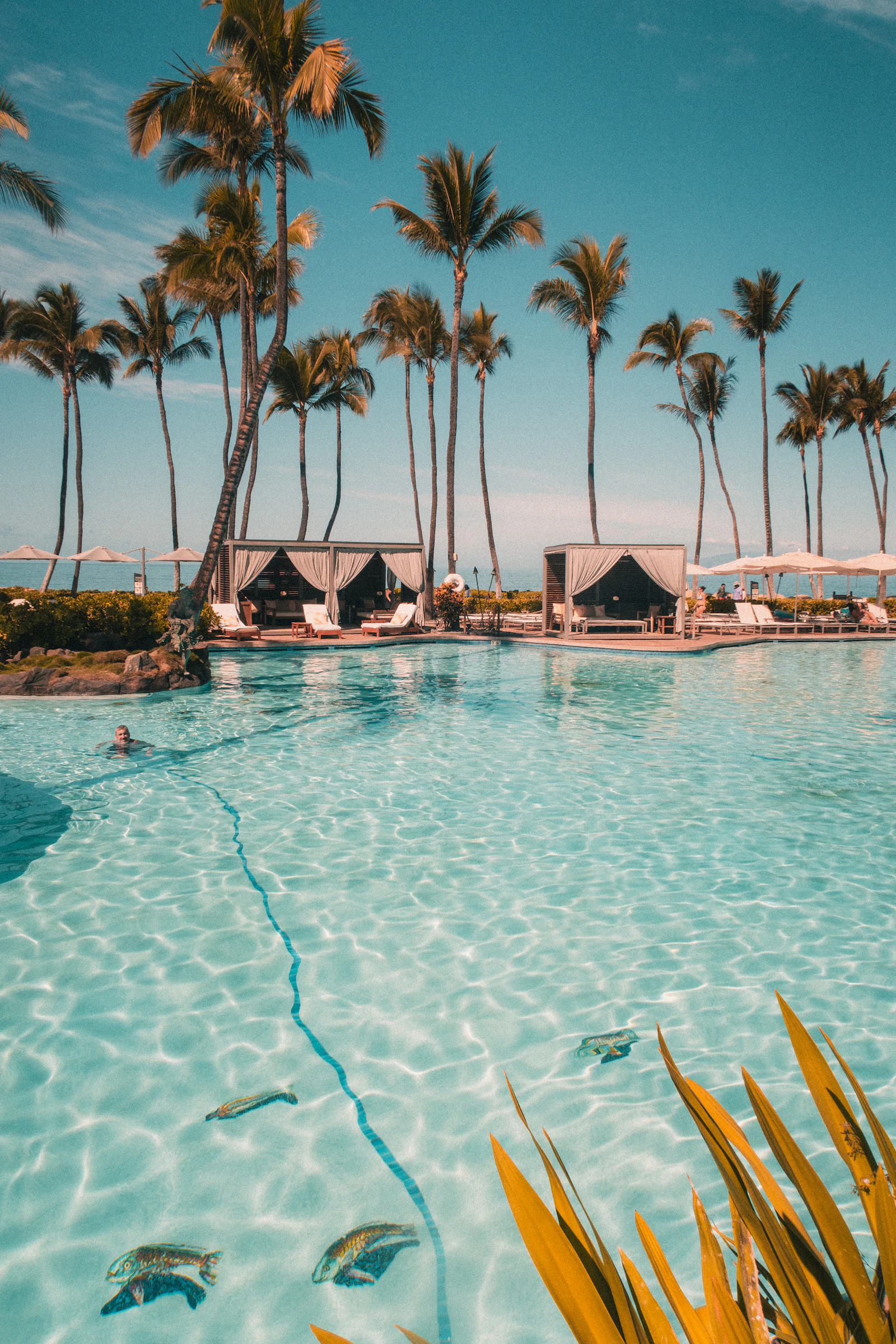 A resort pool framed by palm trees in afternoon light