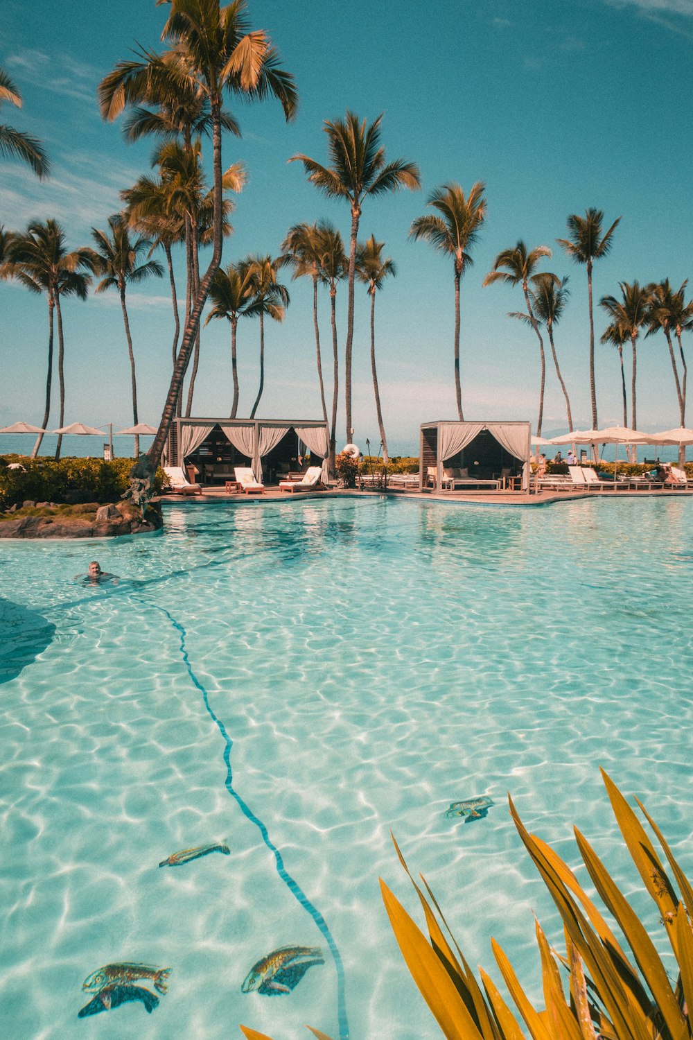 Una gran piscina rodeada de palmeras