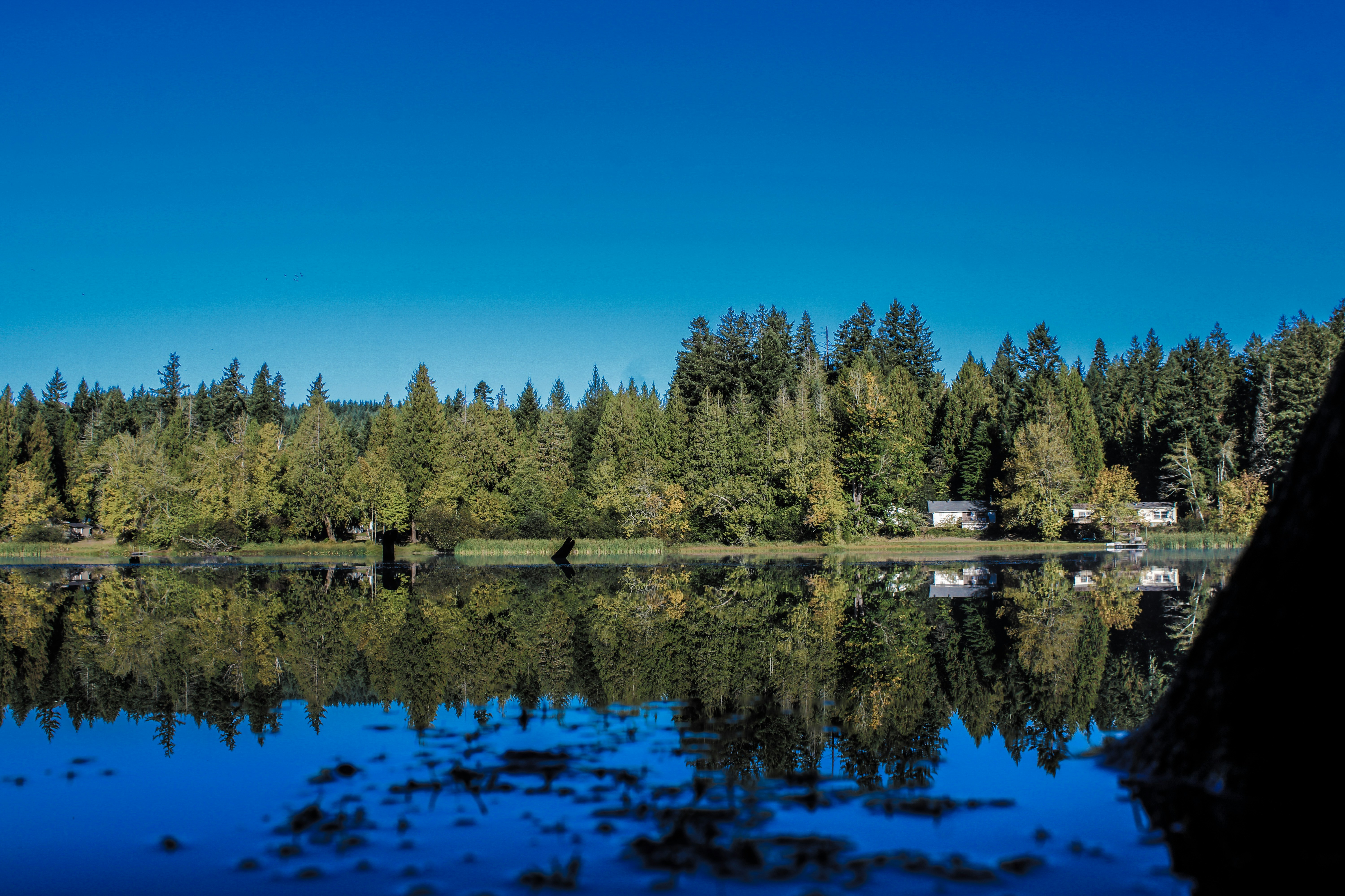 Photo by prphotography262