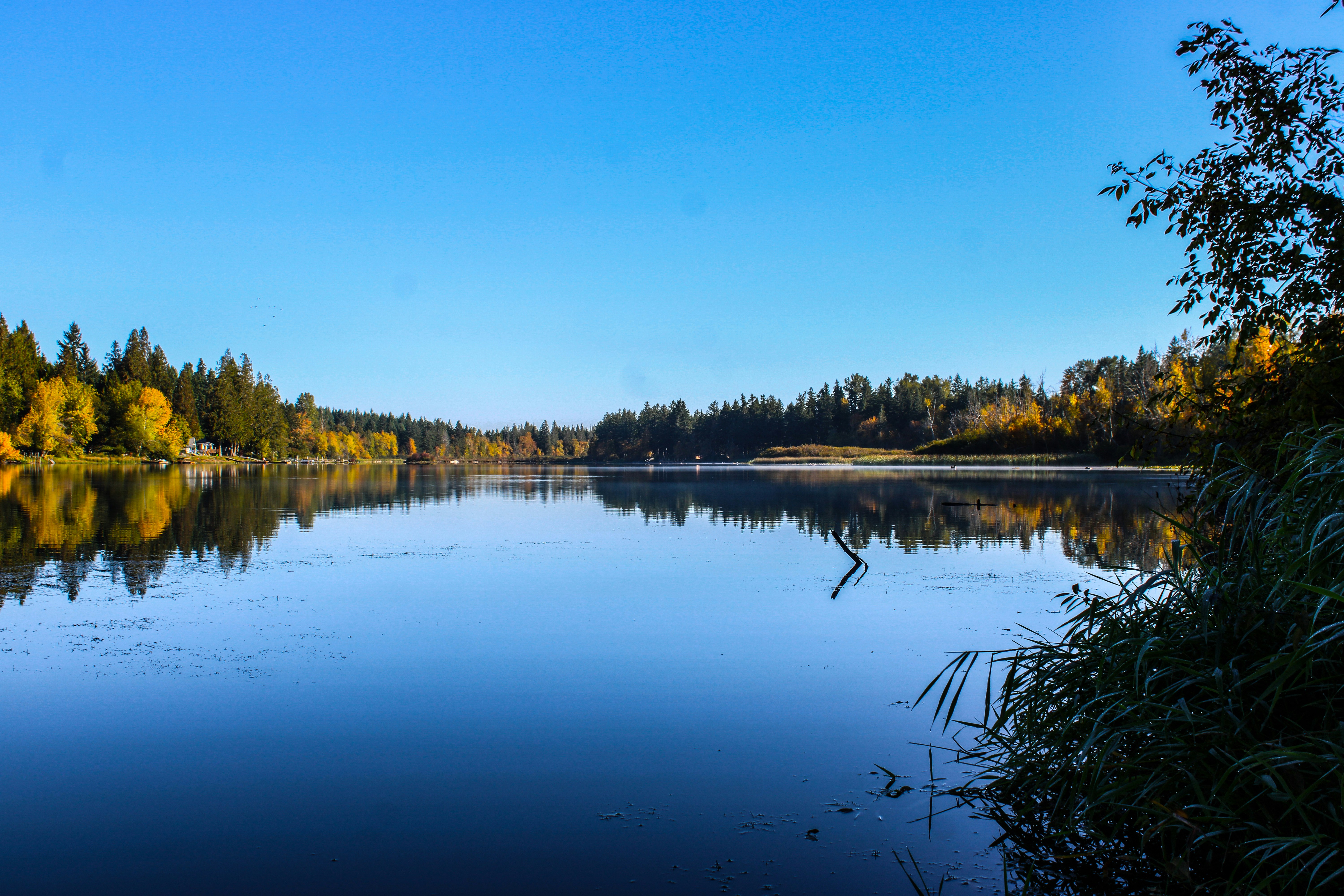 Photo by prphotography262