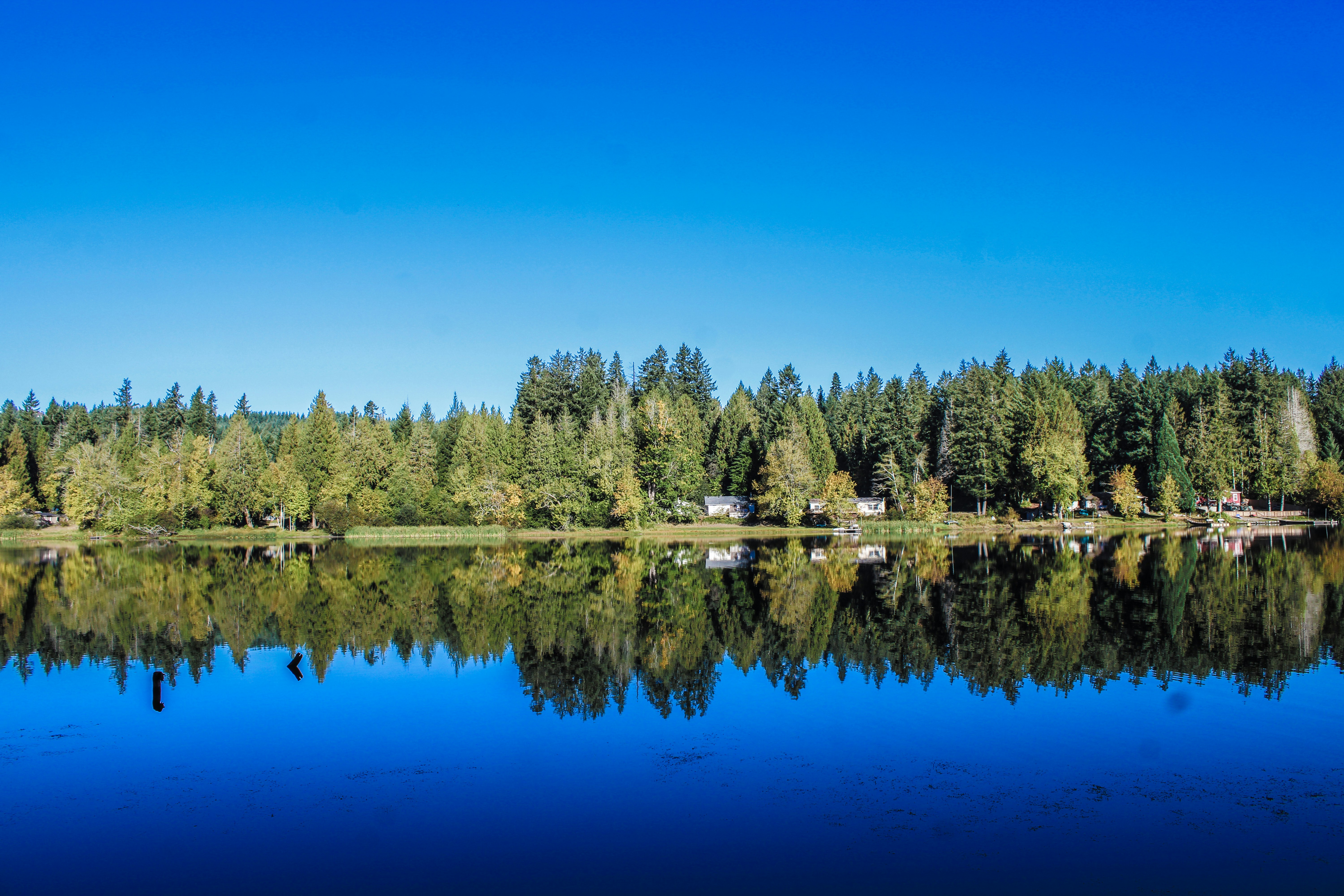 Photo by prphotography262