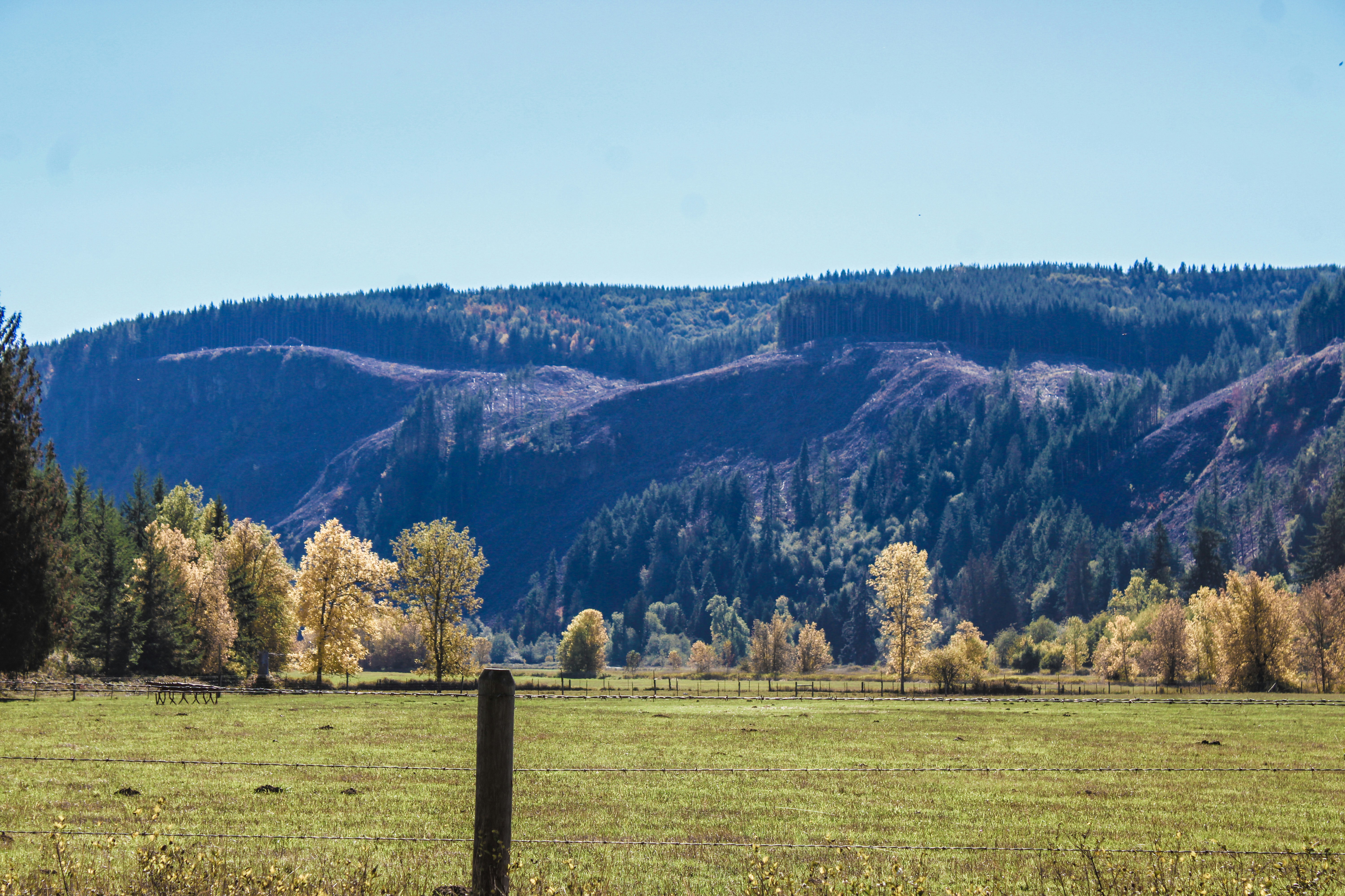 Photo by prphotography262