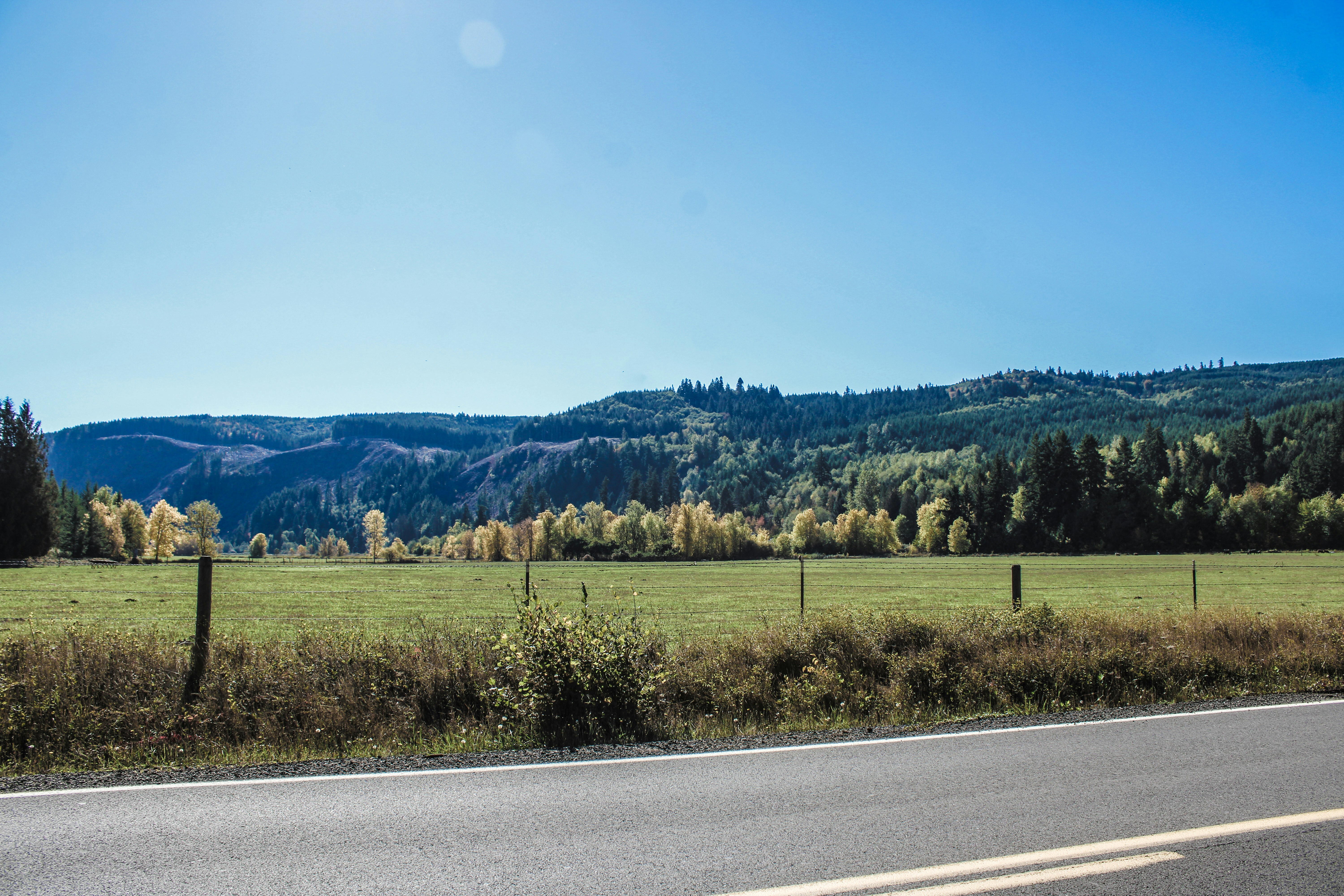 Photo by prphotography262