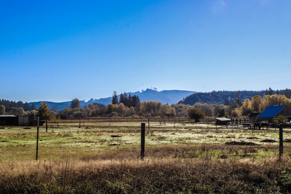 a field with a fence and a house in the background