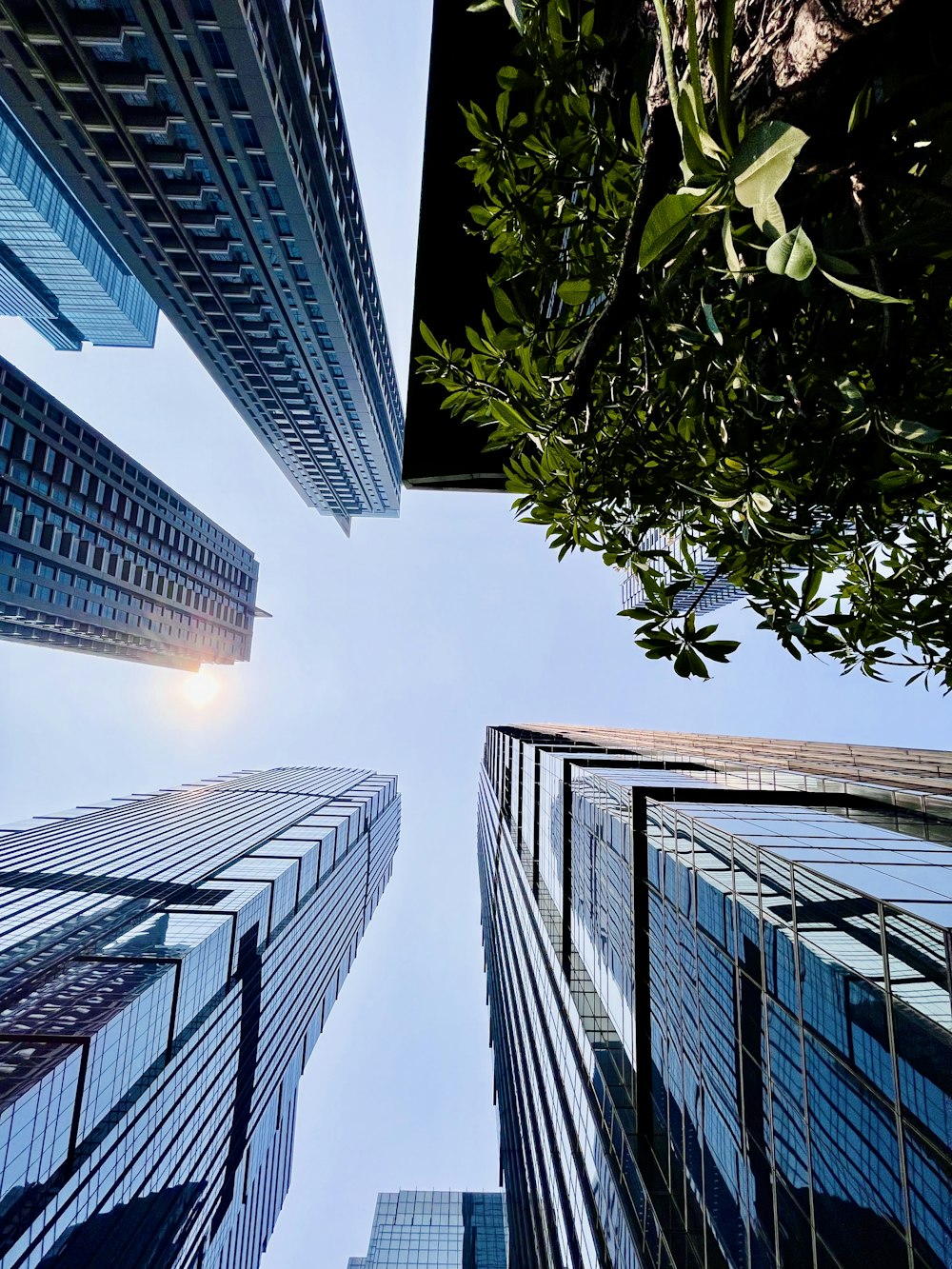 looking up at tall buildings in a city