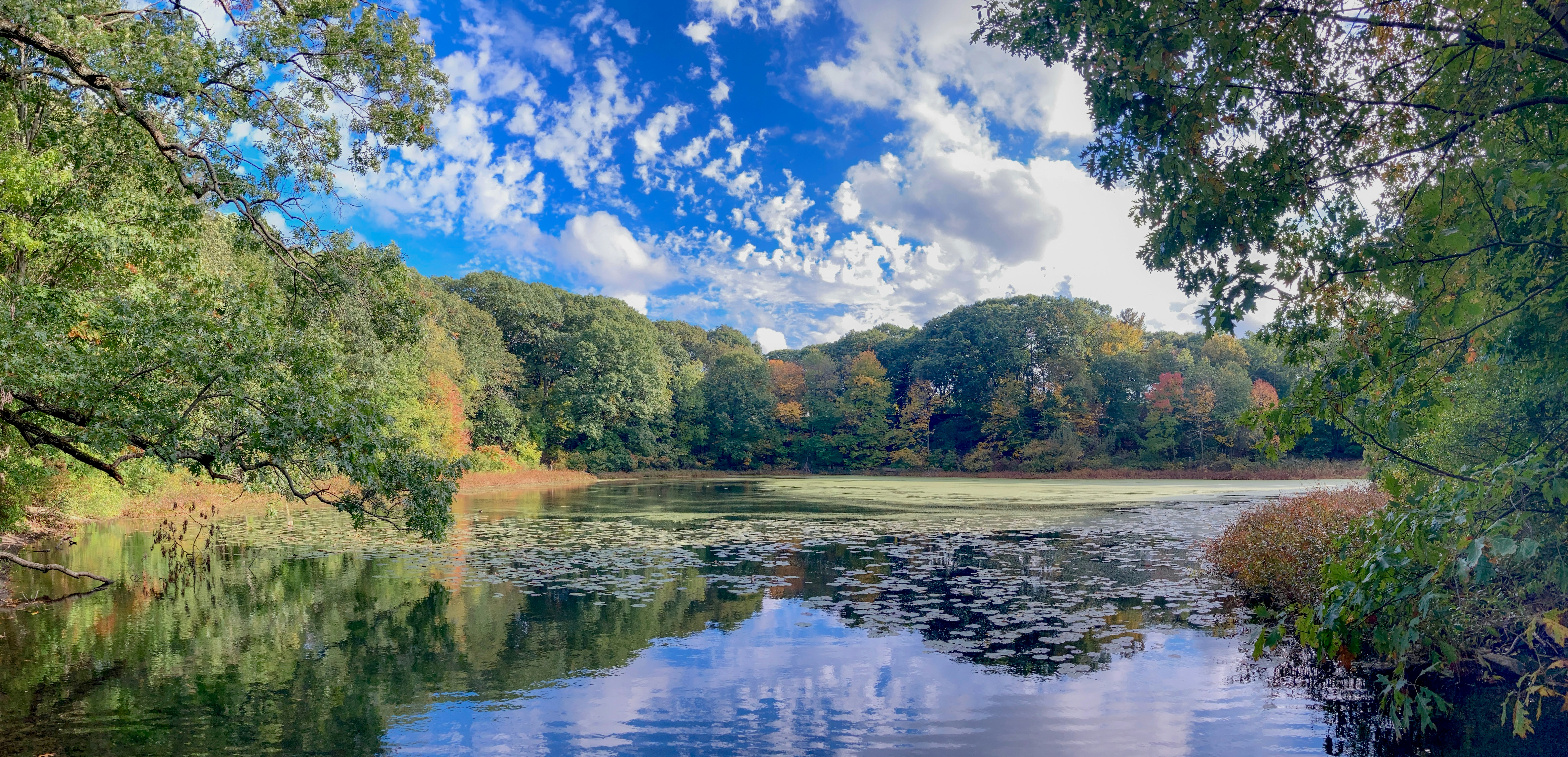 Photo by alohaboston