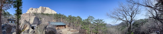 A mountainous landscape featuring rocky cliffs, scattered pine trees, and a traditional building with a blue-tiled roof nestled among the rocks. The sky is clear and blue, enhancing the serene and peaceful environment. A leafless tree on the right adds contrast to the scene, while the distant mountains create a sense of depth.